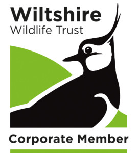 WWT corporate logo 2015